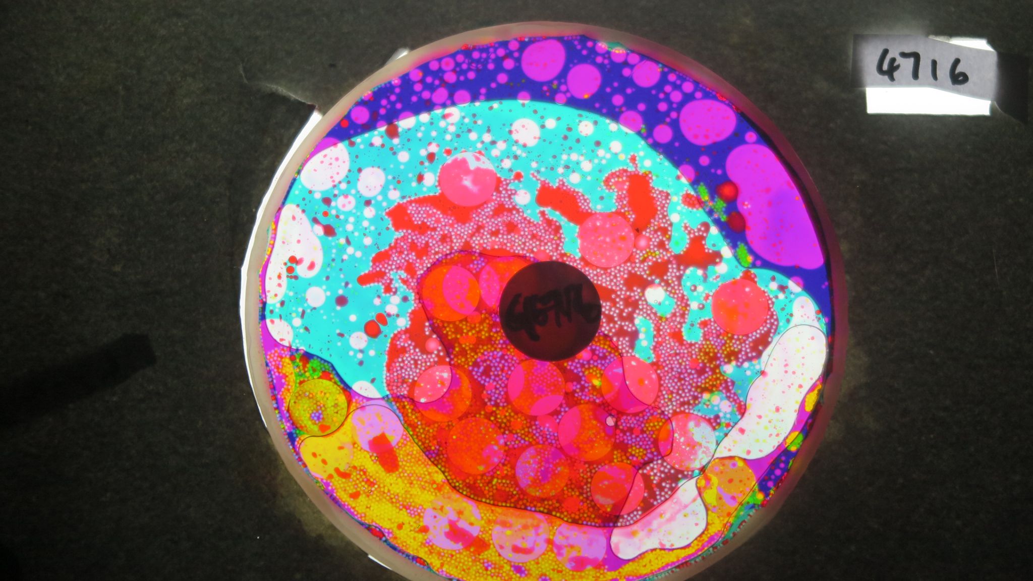 BV4716 bubble vision oil wheel